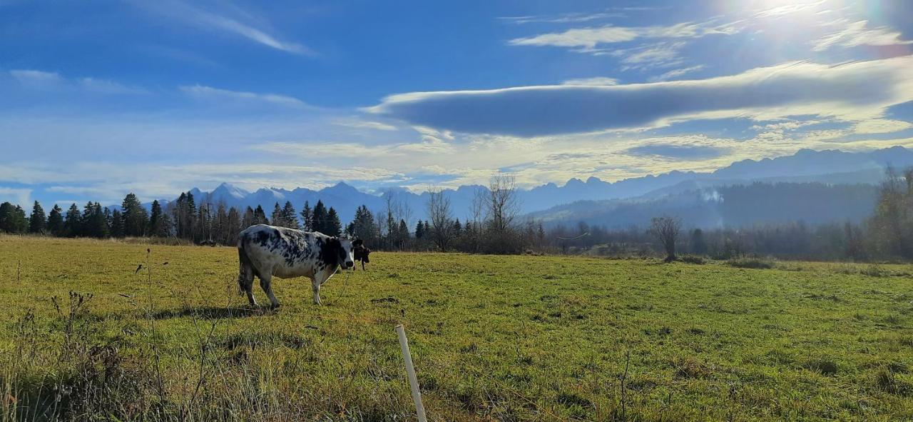 Chalpy Na Wierchu Rzepiska Bagian luar foto