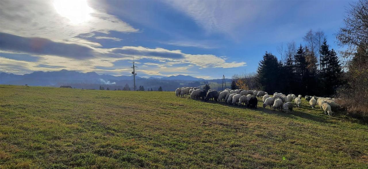 Chalpy Na Wierchu Rzepiska Bagian luar foto